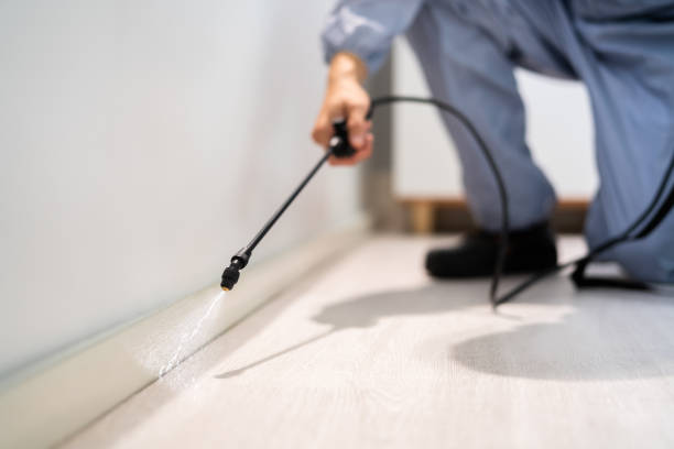 Licensed Cockroach Control service in Cobden, IL - Nex Pest Control