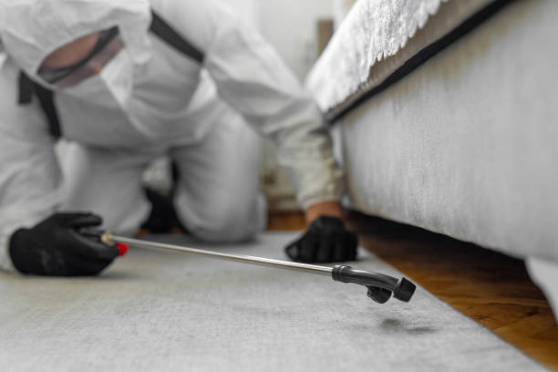 Professional Cockroach Control technician working in Cobden, IL