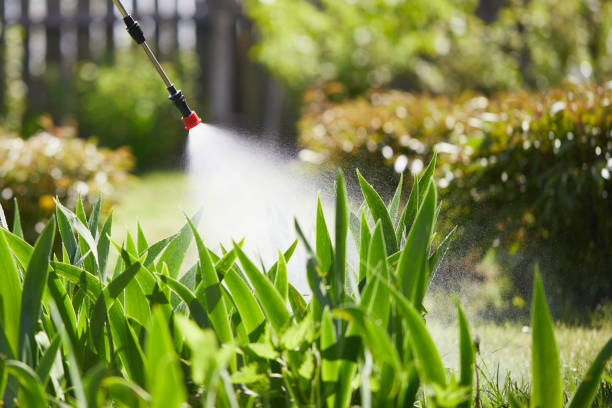 24/7 Emergency Cockroach Control experts in Cobden, IL